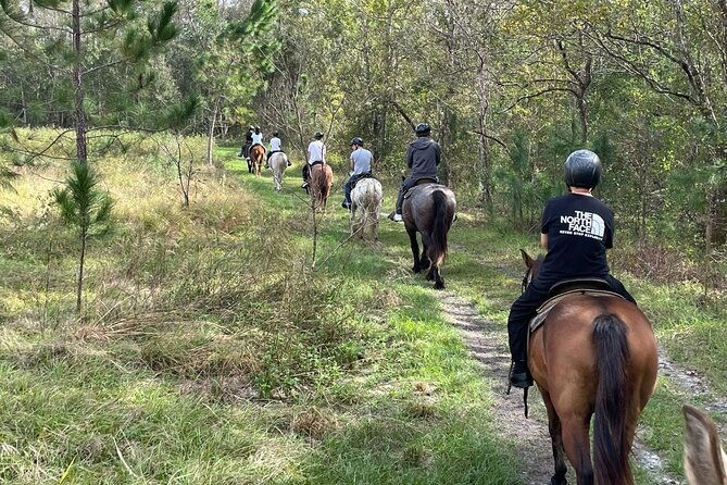 horseback-ride-on-scenic-lake-louisa-trails