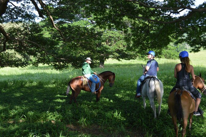 horseback-riding-2hrs-dreams-las-mareas
