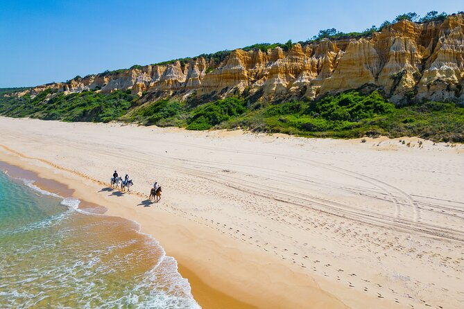 horseback-riding-4-options-mountain-lesson-ring-beach-2hours