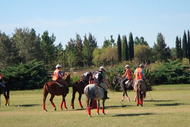horseback-riding-and-polo-in-buenos-aires