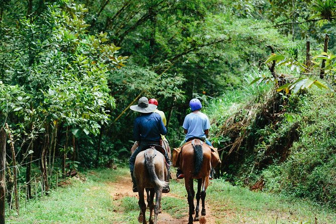 horseback-riding-and-waterfalls-from-manuel-antonio