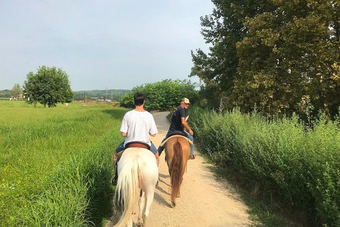 horseback-riding-and-wine-tasting