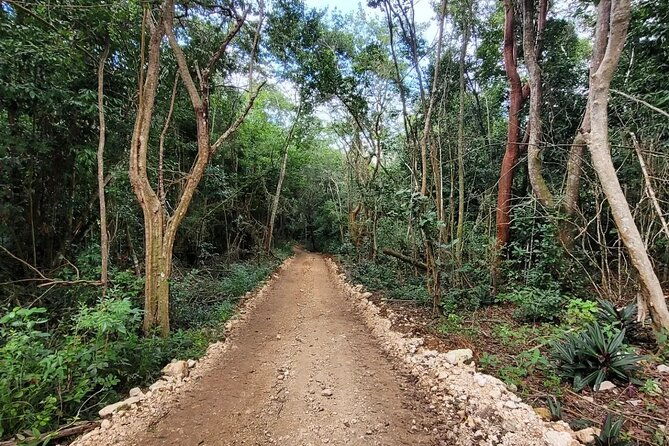 horseback-riding-atv-more-in-the-mountains-of-montego-bay