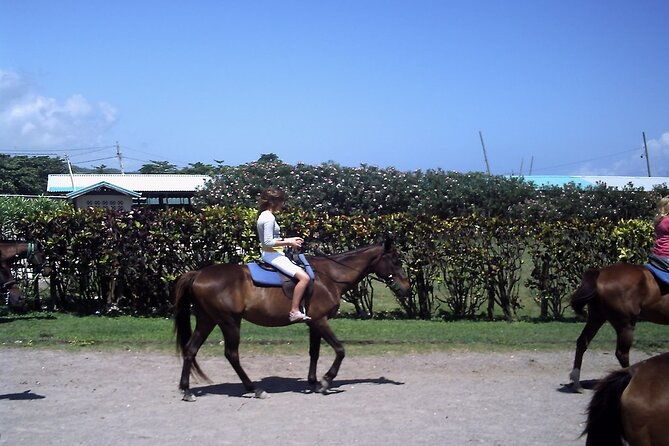 horseback-riding-blue-hole-dunns-river-river-rafting-and-tubing-private-tour