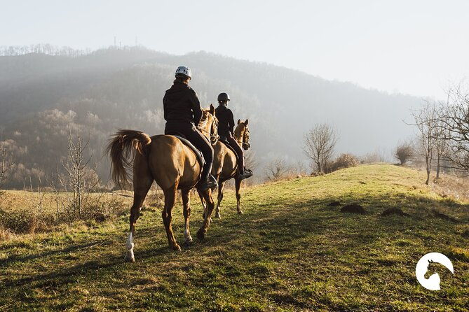 horseback-riding-for-experts-between-the-lake-and-the-mountains