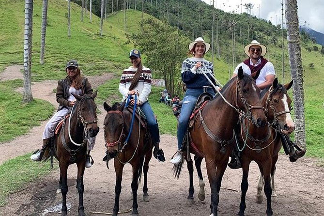 horseback-riding-to-the-viewpoints-and-the-sestillal-waterfall-in-salento