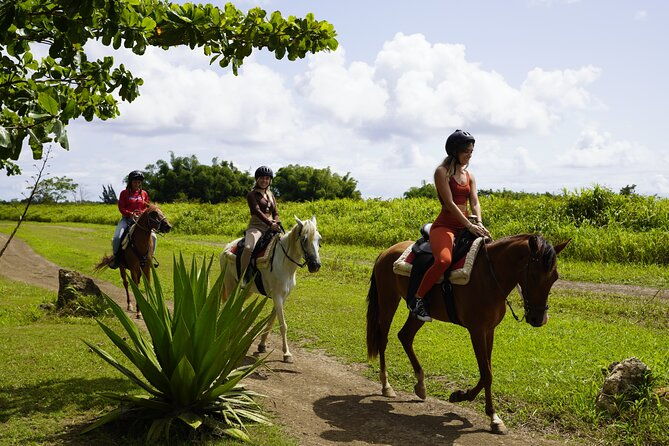 horseback-riding-tour-at-private-ranch