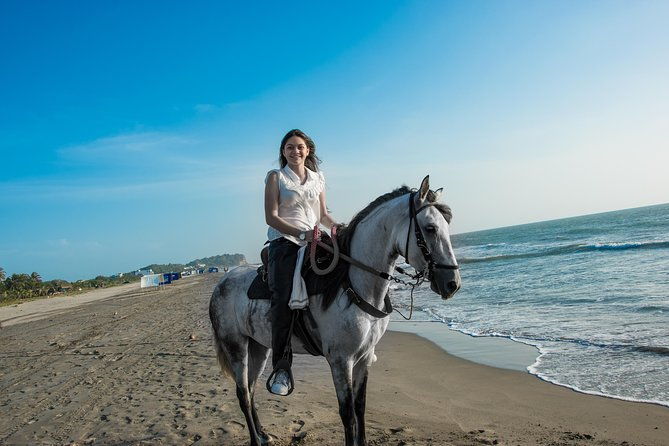 horseback-riding-tour-in-beach-of-cartagena
