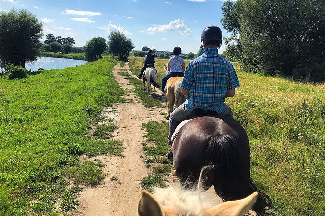 horseback-riding-tour-in-brasov-ride-through-fields-forests-hills