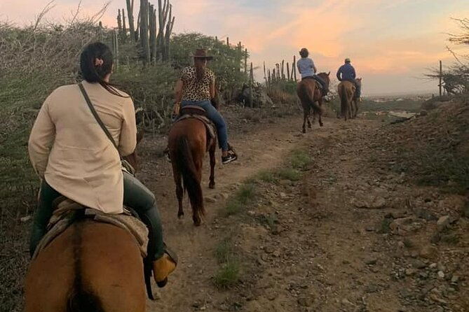 horseback-riding-wariruri-beach-tour-in-aruba