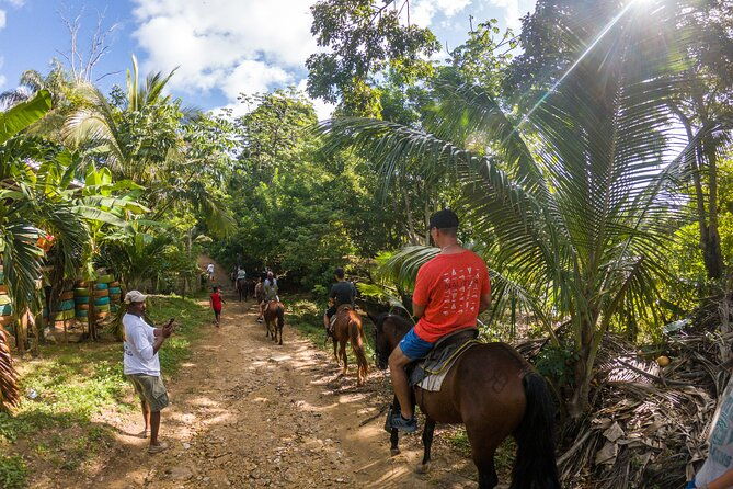 horseback-riding-west-end-choco-factory-west-bay-day-pass-paradise-beach
