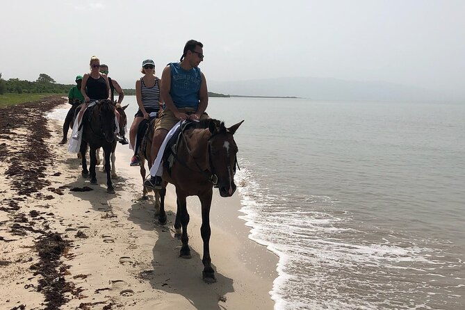 horseback-special-negrils-beach-ride-n-swim-with-free-photos-videos