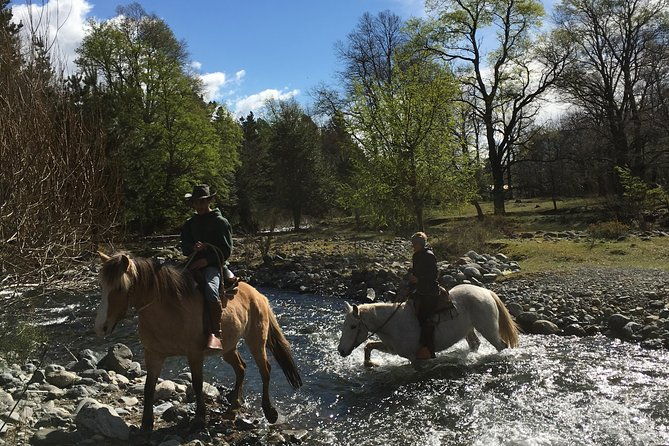 horseback-trailride-excursion