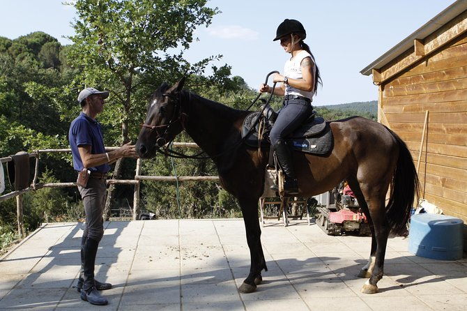 horsemanship-experience