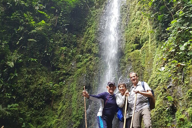 howler-monkey-tour-filandia-views-and-gastronomy