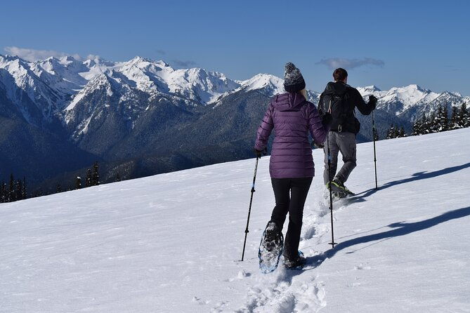 hurricane-ridge-guided-snowshoe-tour-in-olympic-national-park-2