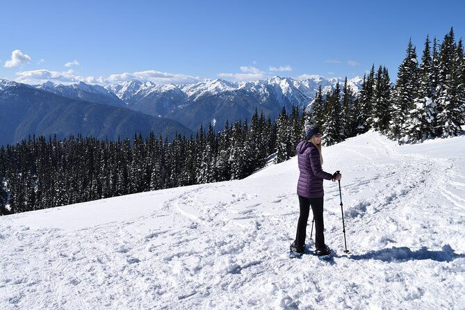 hurricane-ridge-guided-snowshoe-tour-in-olympic-national-park