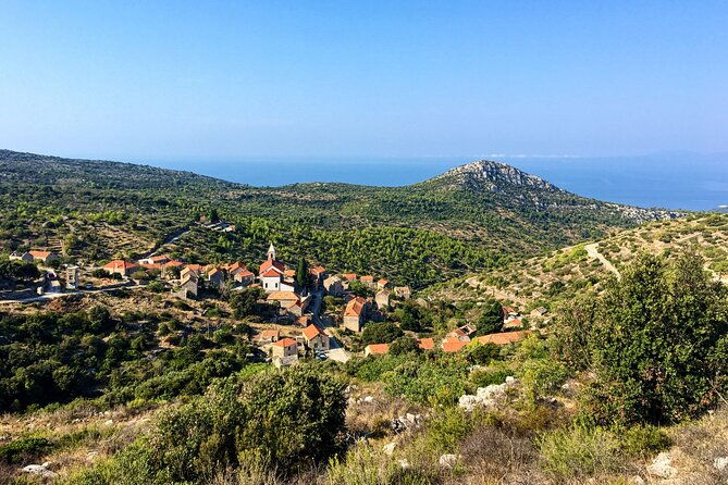 hvar-lavender-tour-2
