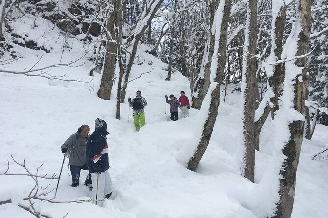 icicle-trekking-nishiwaga-town-iwate-prefecture
