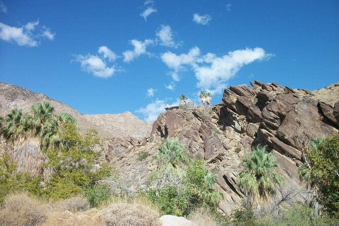 indian-canyons-hiking-tour-by-jeep-from-palm-desert