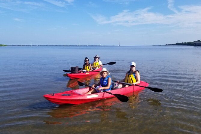 indian-river-clear-bottom-kayak-or-paddleboarding-manatee-and-dolphin-tour