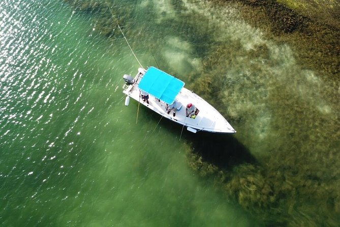 inshore-fly-fishing-punta-cana-private-charter-at-marina-cap-cana