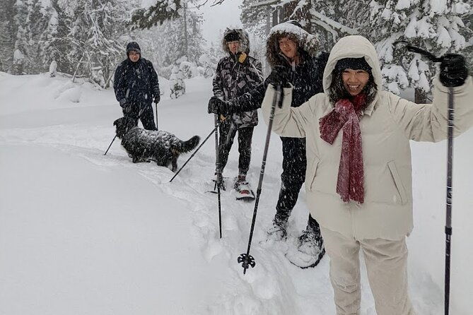 introductory-snowshoe-shared-experience