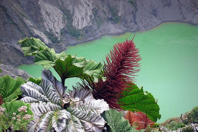 irazu-volcano-orosi-lankester-full-day-with-lunch-from-san-jose