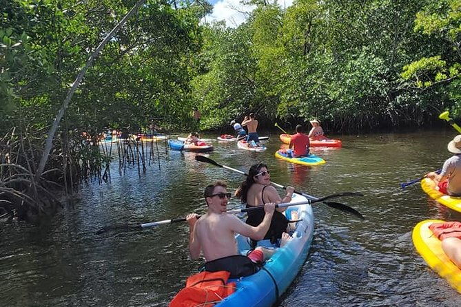 island-city-eco-paddle-and-lesson-to-9-3-acre-nature-preserve