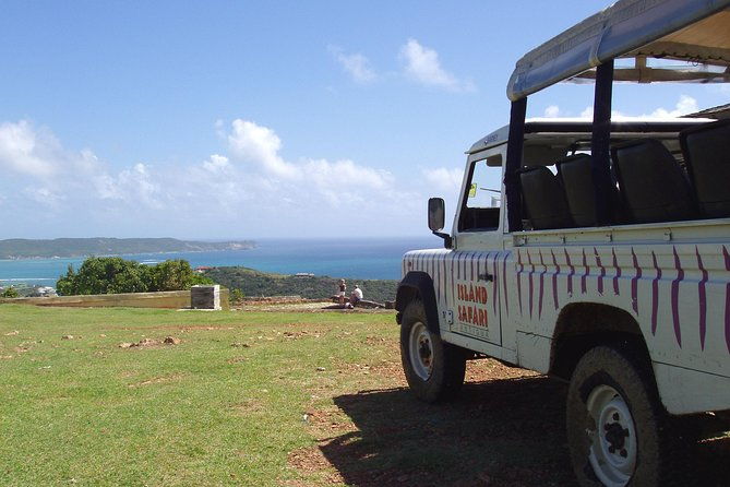 island-safari-discovery