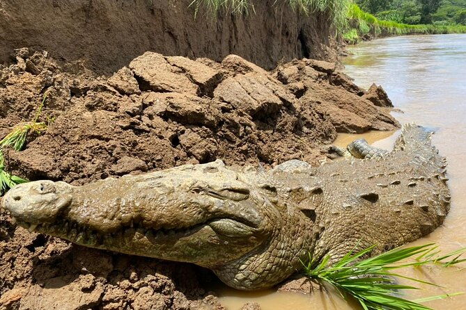 jason-crocodile-tours
