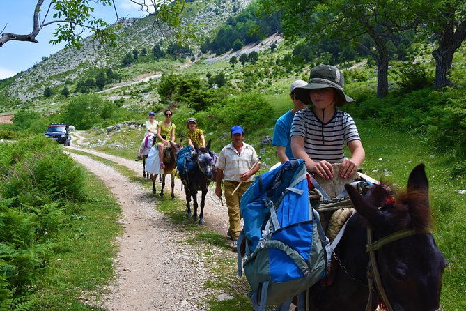 jeep-safari-berat-hiking-caravan-mule-in-tomori-holy-mount-2