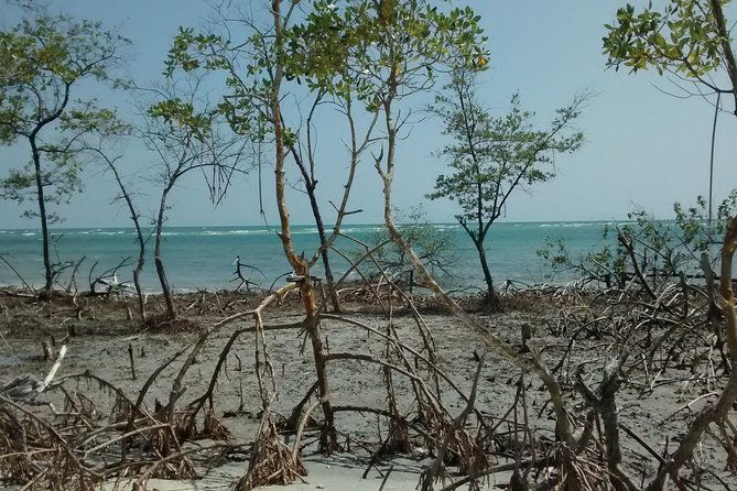 jericoacoara-west-coastal-tour