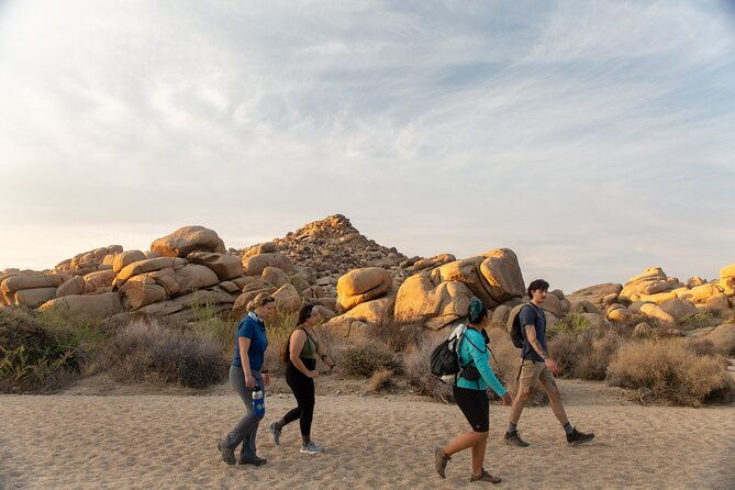 joshua-tree-full-day-private-tour-and-hike