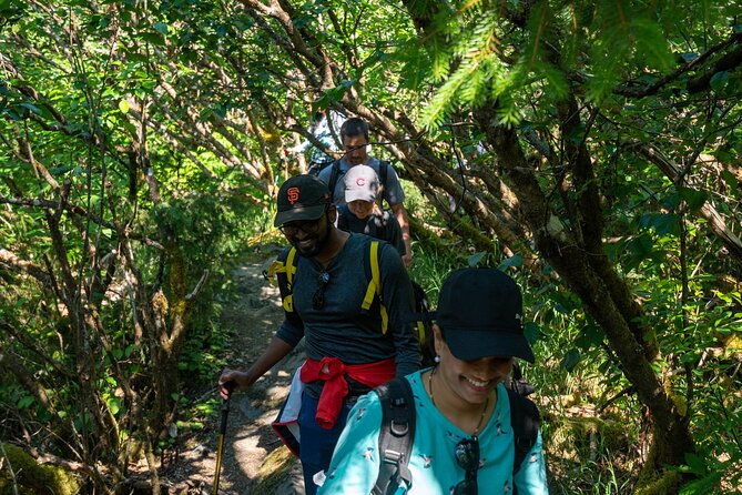 juneau-shore-excursion-mendenhall-glacier-guided-hike