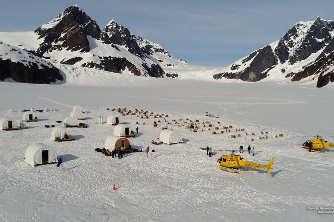 juneau-shore-excursions-helicopter-dogsledding-experience-and-additional-glacier-landing