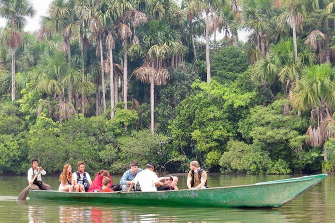 jungle-eco-jungle-and-adventure-4-days-3-nights