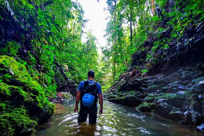 jungle-hike-with-canyoning-and-rappelling-in-drake-bay