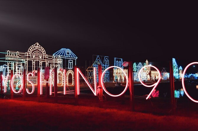 kagoshimas-largest-winter-light-display