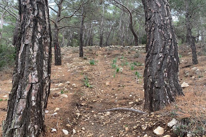 karpathos-scenic-agia-kyriaki-walk-from-pigadia
