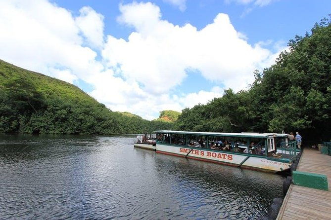 kauai-cruise-ship-excursion-wailua-river-fern-grotto