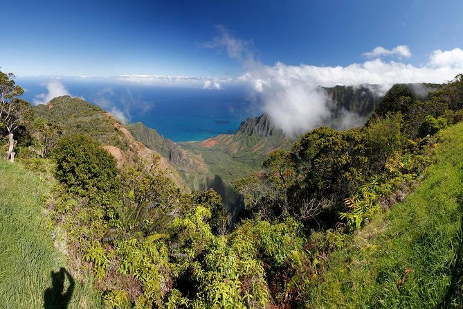 kauai-island-private-tour-waimea-canyon-and-southside