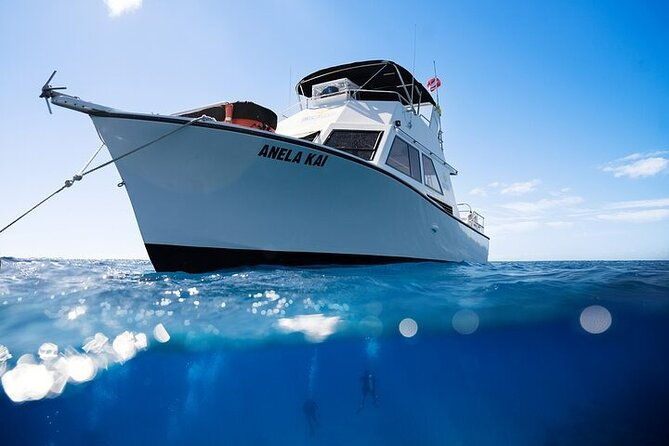 kauais-exclusive-morning-scuba-charter-for-experienced-divers-2
