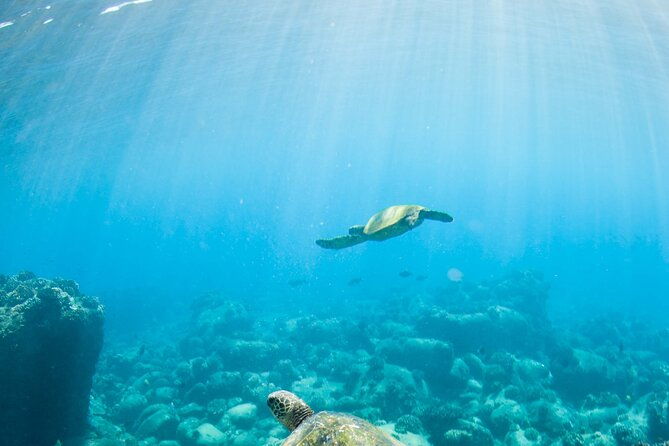 kauais-ultimate-guided-shore-snorkel-no-boat-north-anini