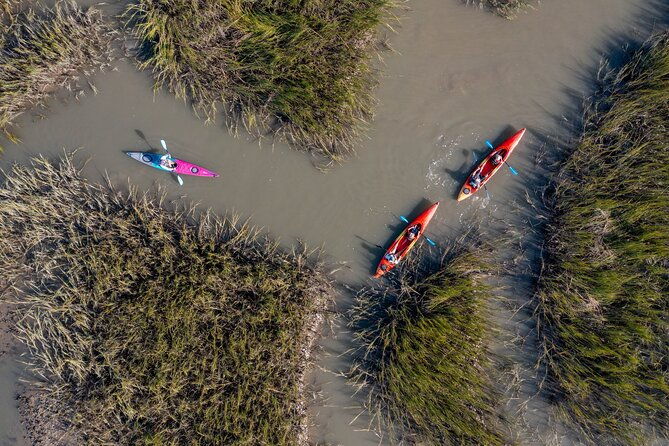kayak-activity-and-sightseeing-in-dolphin-safari