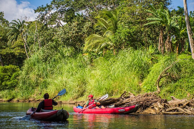 kayak-safari