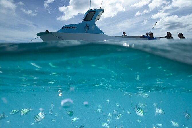 kayak-snorkel-and-surf-with-turtles-in-honolulu