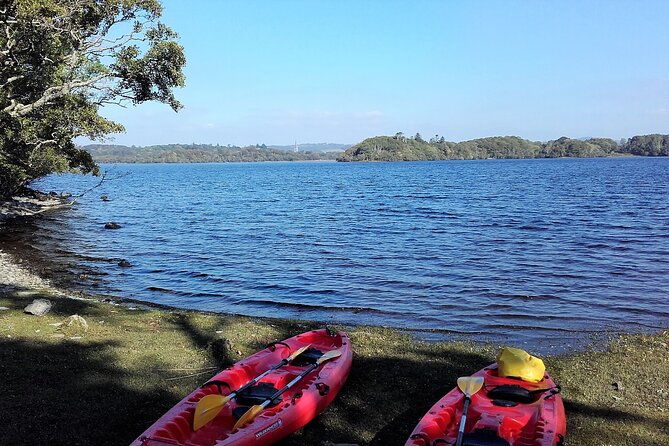 kayak-to-innisfallen-island-killarney-guided-2%c2%bd-hours