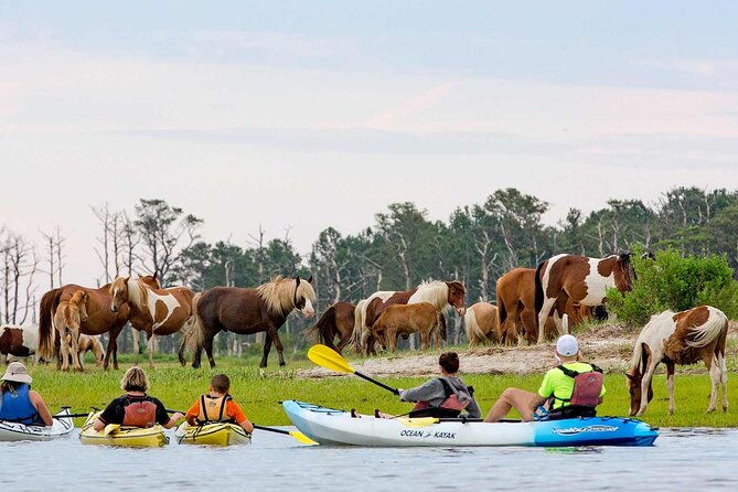 kayak-tour-along-assateague-chincoteague-island-virginia