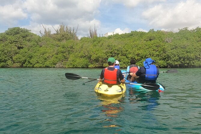 kayak-tour-at-mangel-halto-and-spanish-lagoon